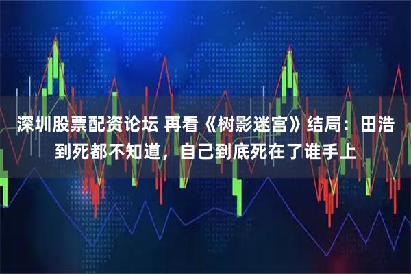 深圳股票配资论坛 再看《树影迷宫》结局：田浩到死都不知道，自己到底死在了谁手上